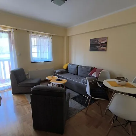 公寓 Djole Brzeće